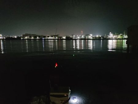 食コンサビキは5時から入れ食い